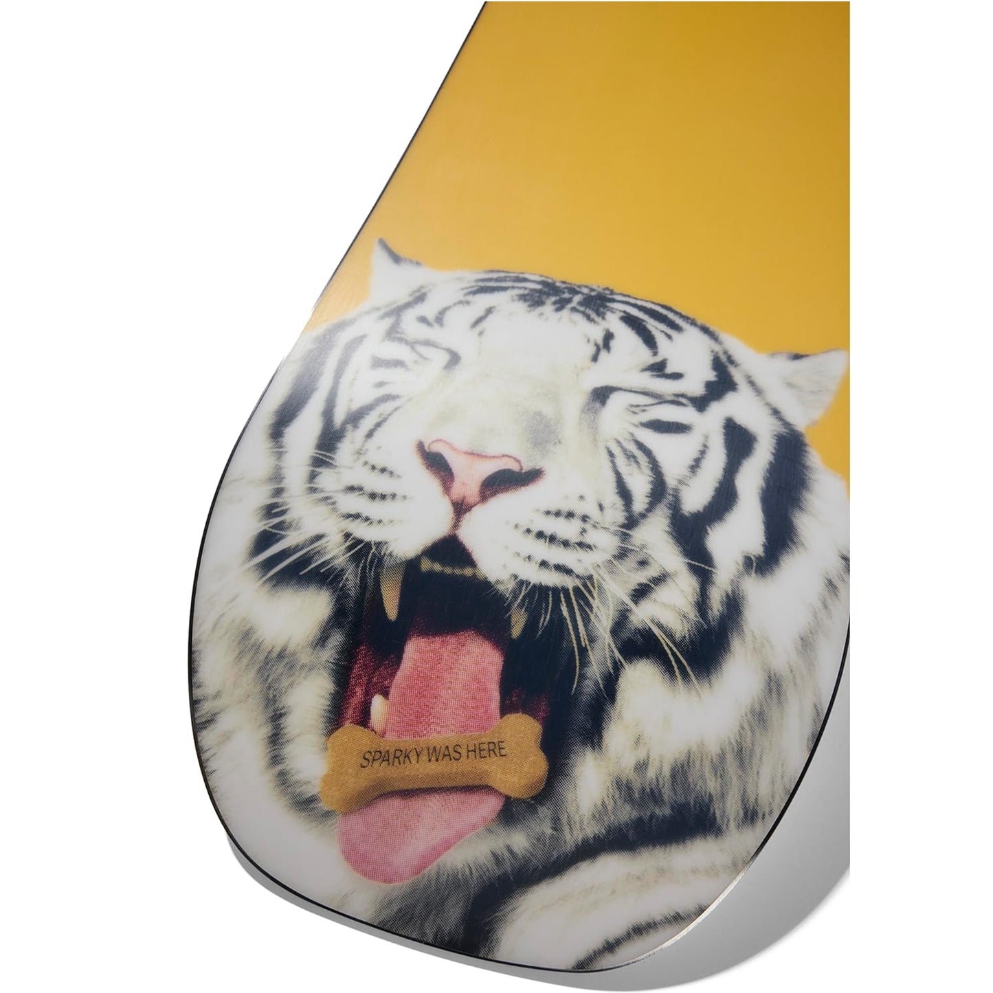 Burton Men's Process Camber Snowboard